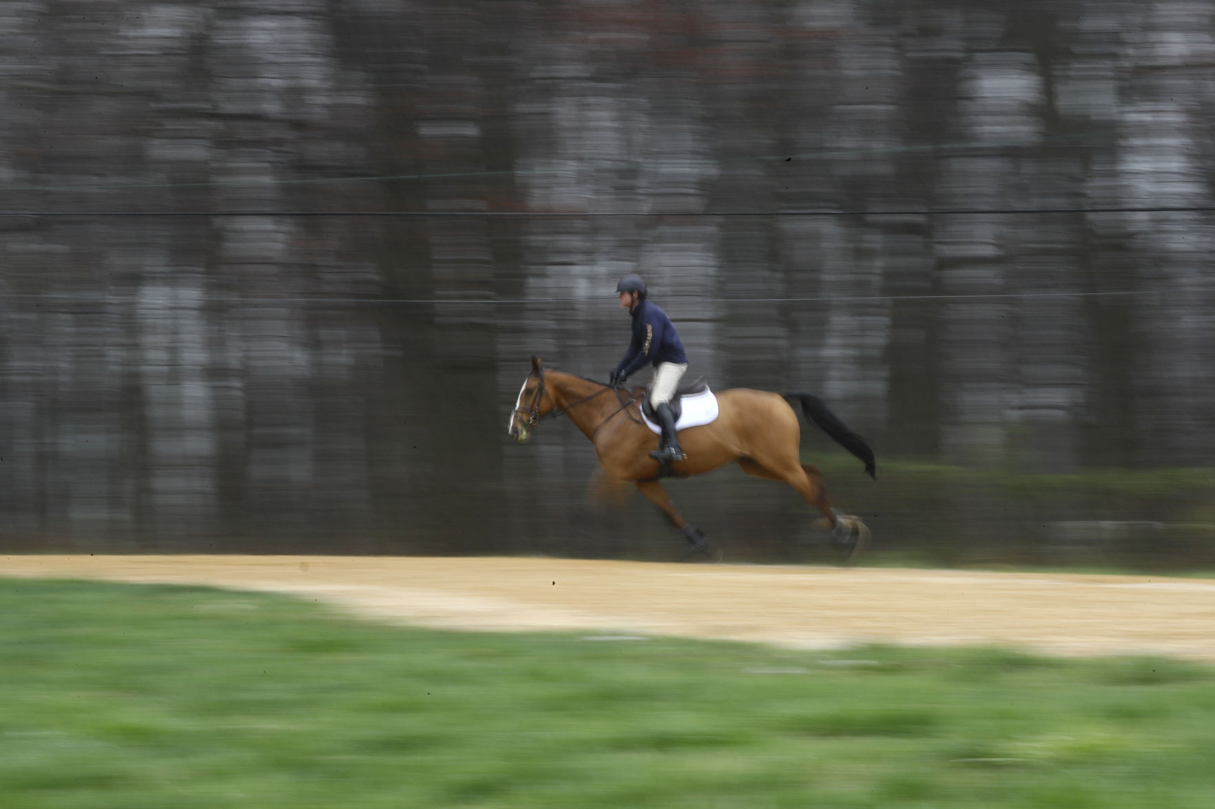 Virus Outbreak Olympic Equestrian Photo Gallery